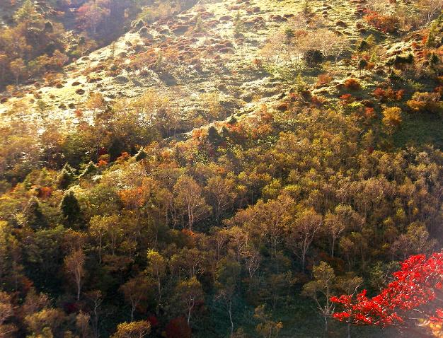 霧降高原丸山