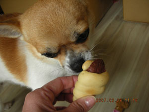 だから何なのこれ？