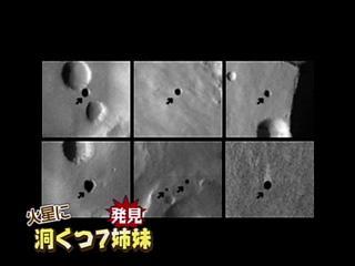 新着記事一覧 風太の半分 日記 楽天ブログ