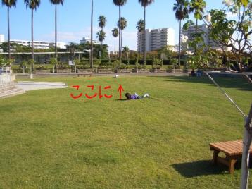 ゴロゴロ～～～～