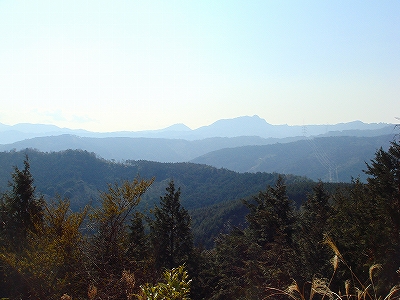 くぼての林道からの風景