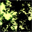 B0002UA3YQ.09.MZZZZZZZ