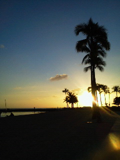 NEC_0360.JPG