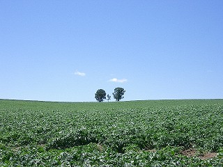 2006_0704_111610AA.jpg