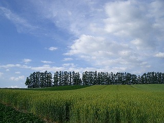 2006_0703_171922AA.jpg