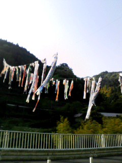 koinobori