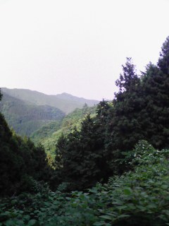 iriyama