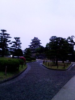 siro