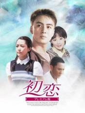 初恋 プレミアム版 DVD-BOX1.jpg