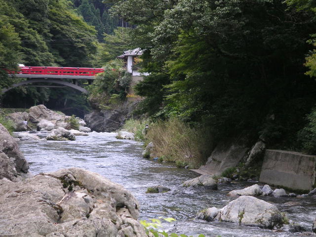 PICT0217.JPG