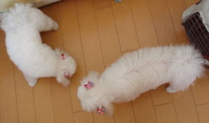 20080426.jpg