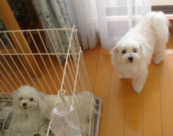 20070918.jpg