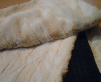 20091007123716.jpg
