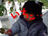 bu5.JPG