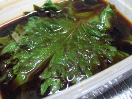 shiso3.jpg