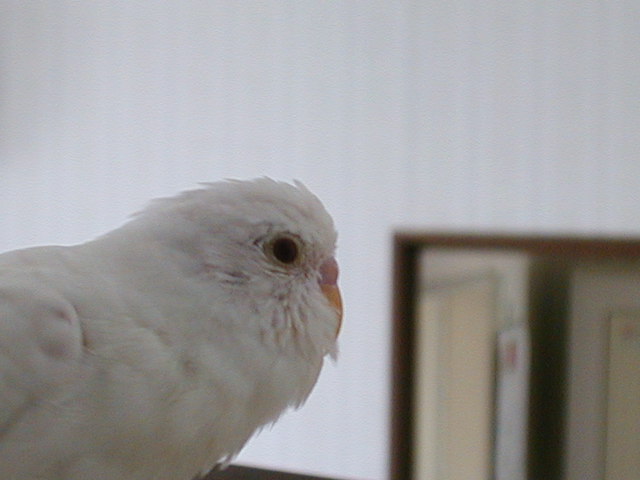 のんびり３