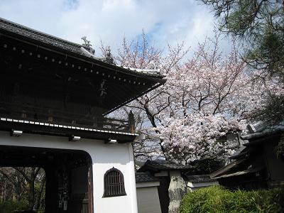 20.元慶寺♪.JPG