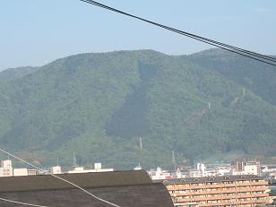 くじら山.JPG