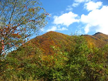 紅葉の山.JPG