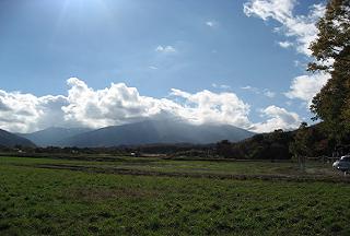 野原2.JPG