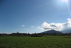 野原.JPG