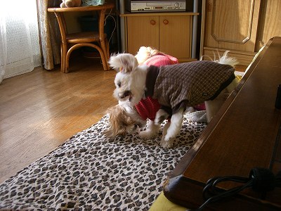 りんまる５ 596.jpg