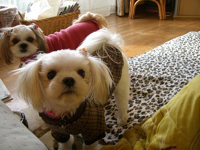 りんまる５ 589.jpg