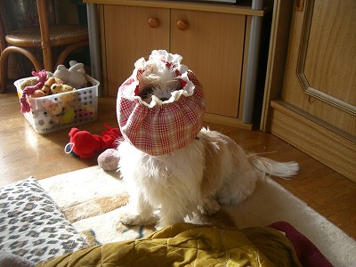 りんまる５ 520.jpg