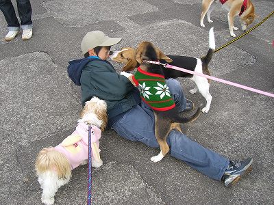 りんまる５ 562.jpg