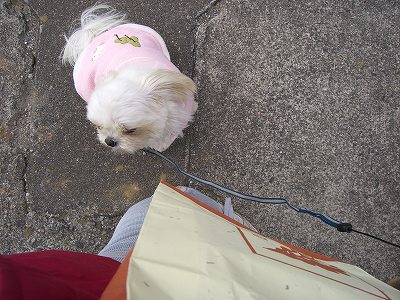 りんまる５ 564.jpg