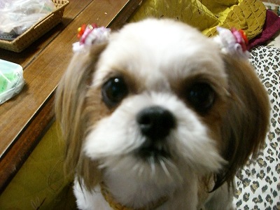 りんまる５ 573.jpg