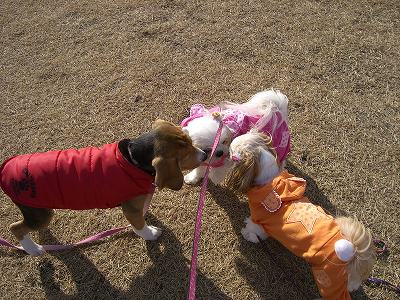 りんまる５ 615.jpg