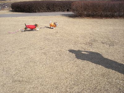 りんまる５ 613.jpg