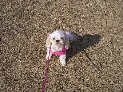 りんまる５ 621.jpg