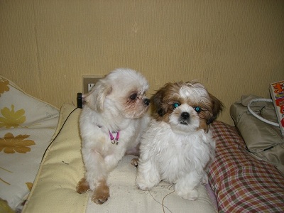 りんまる 056.jpg