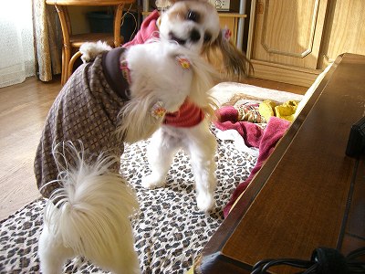 りんまる５ 593.jpg