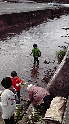 川で野菜を洗う
