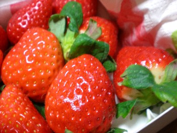 いちご.JPG
