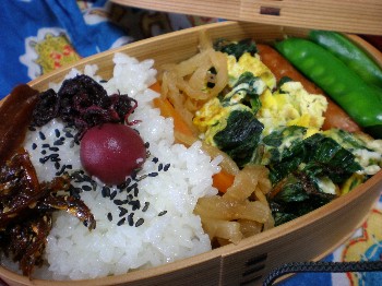 P508お弁当.JPG