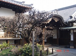 090211休日の食事と墓参り 002.jpg