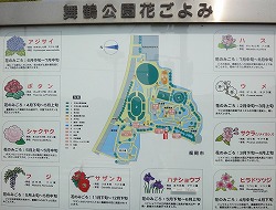 DSC00427.jpg