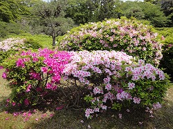 DSC00417.jpg
