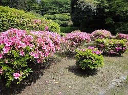 DSC00418.jpg