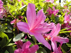 DSC00410.jpg