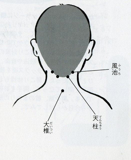 img095.jpg