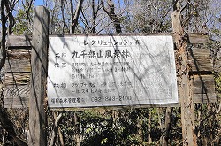 DSC03182.jpg