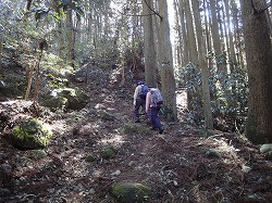 DSC03180.jpg