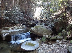 DSC03178.jpg