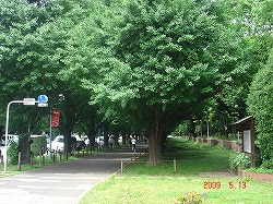 090512～14 031.jpg