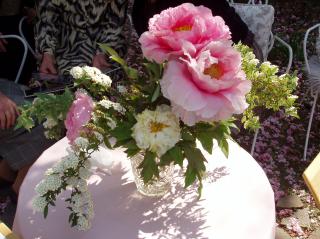 牡丹とこでまり